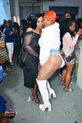 DSC_1154